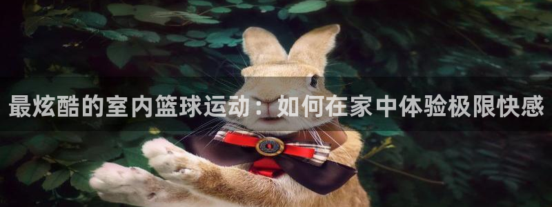 3377体育官网下载平台假的吗是真的吗:最炫酷的室内篮球运动