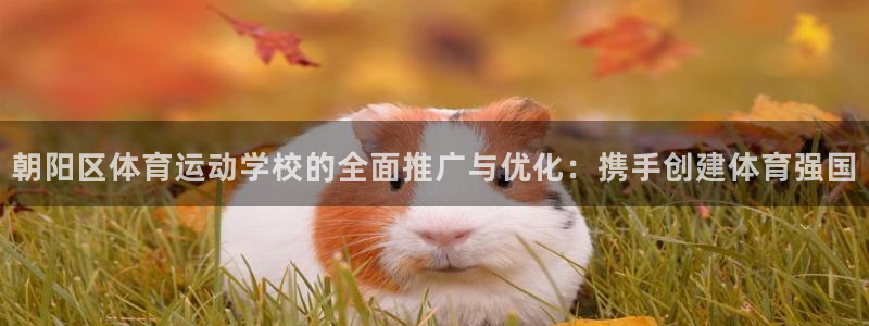 3377体育官网下载平台是正规平台吗知乎:朝阳区体育运动学校